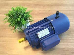 Yej Series Three Phase AC Induction Electromagnetic Brake Motor